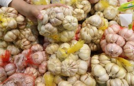 Harga Cabai Rawit dan Bawang Putih di Madiun Meningkat