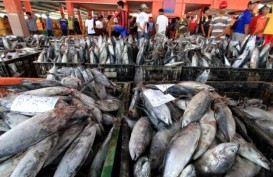 KKP akan Bangun 60 Tempat Pelelangan Ikan Higienis