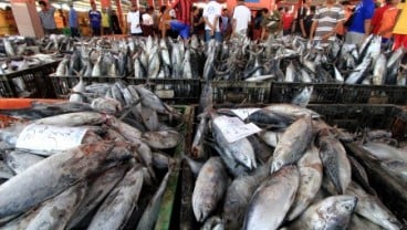 KKP akan Bangun 60 Tempat Pelelangan Ikan Higienis