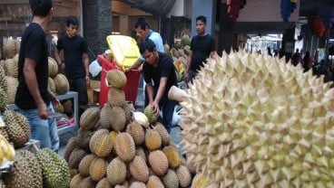 Harga Miring, 18 Jenis Durian Didatangkan ke Kelapa Gading