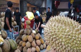 Harga Miring, 18 Jenis Durian Didatangkan ke Kelapa Gading