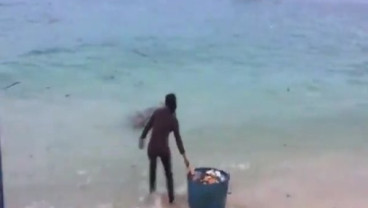 Beredar Video Aksi Buang Sampah di Laut, Susi Pudjiastuti: Viralkan!