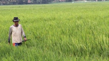 Industri Agro Butuh Integrasi Jasa dan Sektor Pertanian