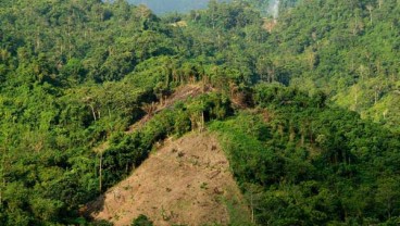 Hutan Masih Dicaplok Warga, Menteri LHK Curhat ke KPK