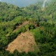 Hutan Masih Dicaplok Warga, Menteri LHK Curhat ke KPK