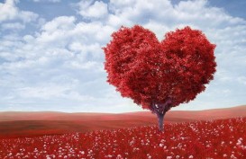 Dahsyatnya, 6 Manfaat Cinta untuk Kesehatan