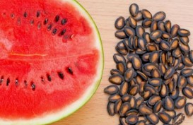 10 Manfaat Biji Semangka untuk Kesehatan Tubuh