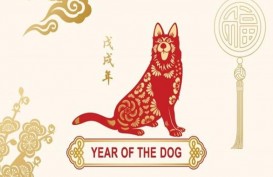 Warna-warna Pembawa Keberuntungan pada Tahun Anjing Tanah
