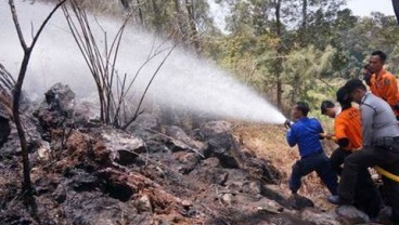 Badan Restorasi Gambut Tinjau Karhutla di Dumai