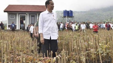 ICW: Jokowi Lupakan Infrastruktur Hukum