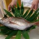 Berani Mencicipi Ikan Tai dari Jepang? Simak Resep Lezatnya