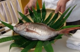 Berani Mencicipi Ikan Tai dari Jepang? Simak Resep Lezatnya