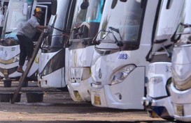 Damri Siap Tender Pengadaan 160 Bus Baru, Maret 2018