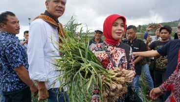 Petani Bawang Putih Temanggung Adukan Surat Edaran Kementan