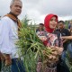 Petani Bawang Putih Temanggung Adukan Surat Edaran Kementan