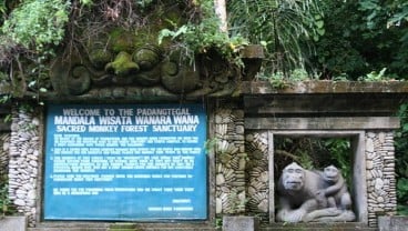 Kawasan 'Monkey Forest' Terus Diperluas Menjadi 22 Hektare