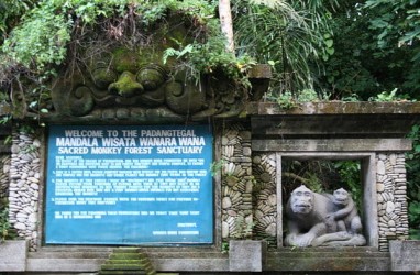 Kawasan 'Monkey Forest' Terus Diperluas Menjadi 22 Hektare