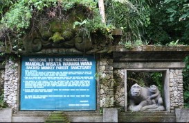 Kawasan 'Monkey Forest' Terus Diperluas Menjadi 22 Hektare