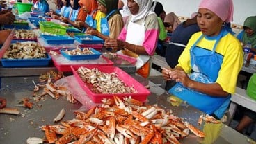 Stok Rajungan, Eksportir Usulkan Sistem Buka Tutup Penangkapan