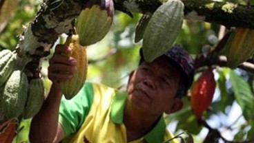 Tingginya Konsumsi Memicu Penurunan Kesejahteraan Petani Perkebunan Sulut