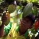 Tingginya Konsumsi Memicu Penurunan Kesejahteraan Petani Perkebunan Sulut