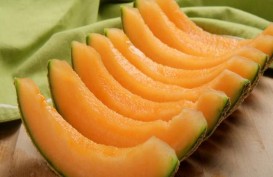 Rock Melon Australia Tercemar Listeria, 3 Orang Meninggal