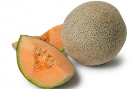 Rock Melon Australia Tercemar Listeria, Melon Indonesia Aman