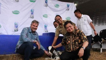 Greenfields Resmikan Peternakan Sapi Perah Terbesar di Indonesia 