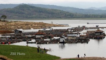 Produksi Benih Ikan di Temanggung Turun Akibat Cuaca