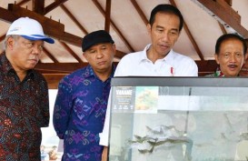Presiden Serahkan 13 SK Perhutanan Sosial Seluas 8.975 Hektare di Tuban