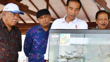 Presiden Serahkan 13 SK Perhutanan Sosial Seluas 8.975 Hektare di Tuban