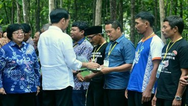 Dikasih SK Pengelolaan Hutan Sosial, Presiden Minta Masyarakat Produktif