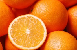 Mencegah Penuaan Dini dengan Vitamin C 