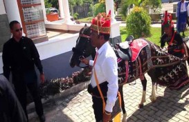 Gratifikasi kuda Sumba Untuk Presiden Jadi Milik Negara