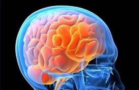 10 Cara untuk Meningkatkan Memori Otak Anda