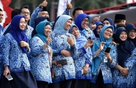 PNS Pria Boleh Cuti Sebulan Bila Istri Melahirkan