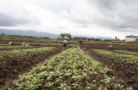 Pilgub Jateng 2018 : Ini Janji Ganjar Kembangkan Pertanian Organik