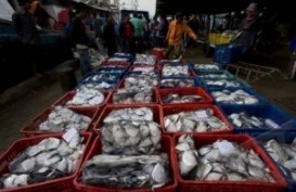 Pemkot Padang Bangun Pasar Ikan Higienis Tahun Ini