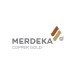 Setelah Rugi, Merdeka Copper (MDKA) Kini Tembus US$43 Juta