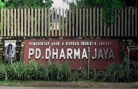 PSO Belum Cair, Dharma Jaya Kesulitan Stok Daging Ayam Untuk Penerima KJP