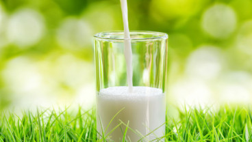 Susu Sapi vs Susu Kambing, Mana Paling Bermanfaat? 