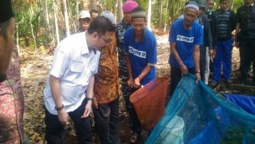 BRG Dorong Warga Meranti Budidaya Ikan di Air Gambut