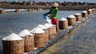 PP Alih Kewenangan Impor Garam Industri Sudah Diteken 