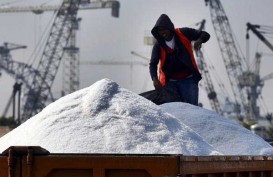 600.000 Ton Garam Siap Didatangkan untuk Bahan Baku Industri