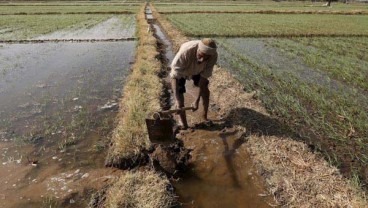 BANTUAN BENIH GRATIS : Peluang Baru bagi Produsen