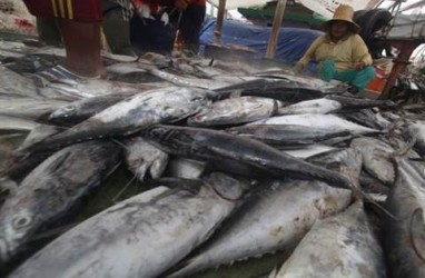 Menteri Susi Dorong Ekspor Ikan Melalui Papua Barat