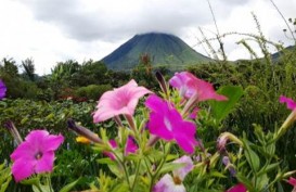 Pelemahan Rupiah Diyakini Tak Ganggu Pariwisata Sulut