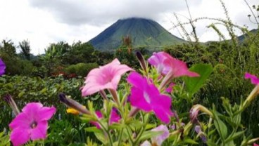 Pelemahan Rupiah Diyakini Tak Ganggu Pariwisata Sulut