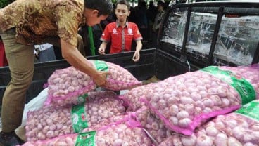 Kebijakan Impor Bawang Putih Perlu Dievaluasi