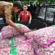 Kebijakan Impor Bawang Putih Perlu Dievaluasi